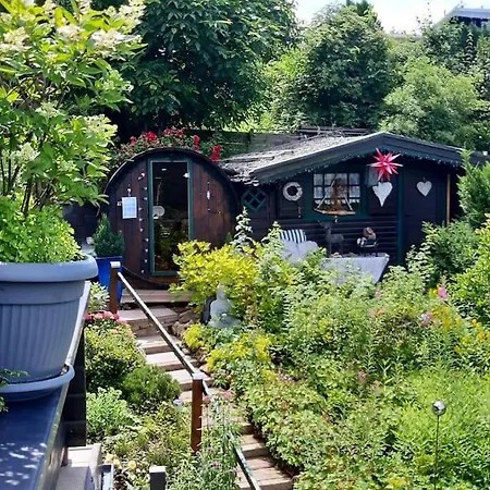 Haus Harzer Bergblick Inklusiv Sauna Whirlpool Apartmán Bad Lauterberg