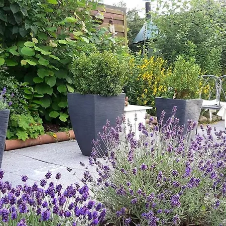 Haus Harzer Bergblick Inklusiv Sauna Whirlpool Bad Lauterberg