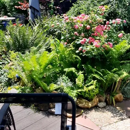 Haus Harzer Bergblick Inklusiv Sauna Whirlpool 아파트