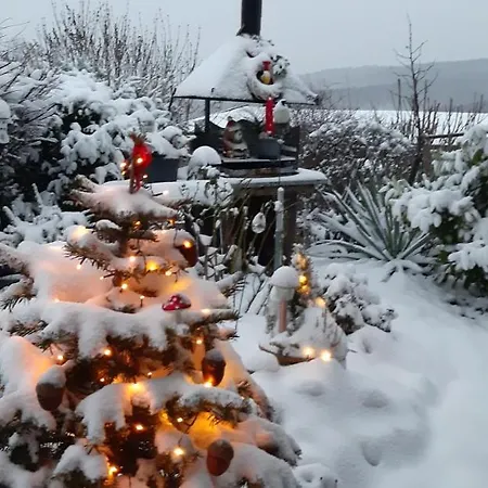 Haus Harzer Bergblick Inklusiv Sauna Whirlpool Bad Lauterberg