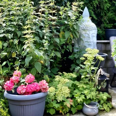 Haus Harzer Bergblick Inklusiv Sauna Whirlpool * 바트라우터베르크