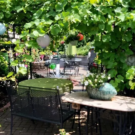 Haus Harzer Bergblick Inklusiv Sauna Whirlpool