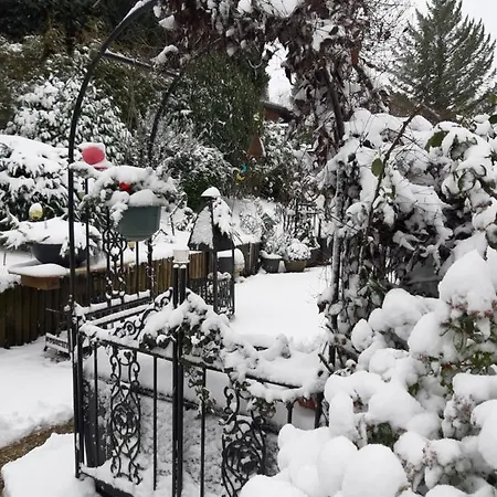 Appartement Haus Harzer Bergblick Inklusiv