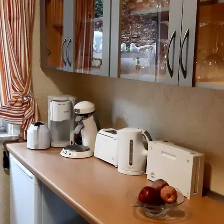 Haus Harzer Bergblick Inklusiv Sauna Whirlpool *