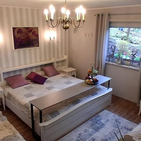 Haus Harzer Bergblick Inklusiv Apartment