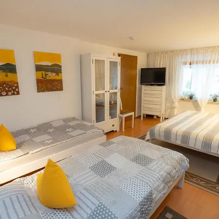 Apartment Haus Harzer Bergblick Inklusiv Sauna Whirlpool