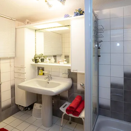 Haus Harzer Bergblick Inklusiv Sauna Whirlpool Apartment *