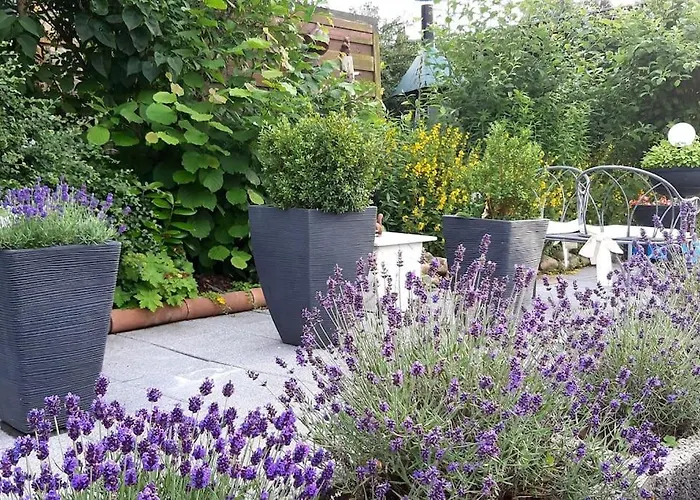 Haus Harzer Bergblick Inklusiv Sauna Whirlpool Bad Lauterberg