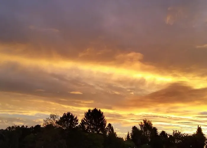 Apartamento Haus Harzer Bergblick Inklusiv Sauna Whirlpool