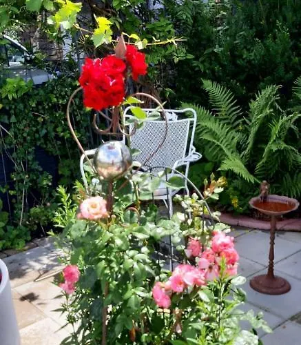 Haus Harzer Bergblick Inklusiv Sauna Whirlpool