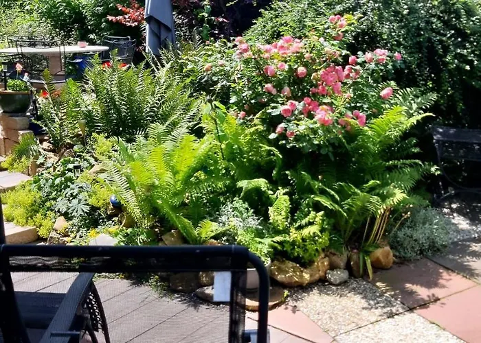 Haus Harzer Bergblick Inklusiv Sauna Whirlpool Lejlighed