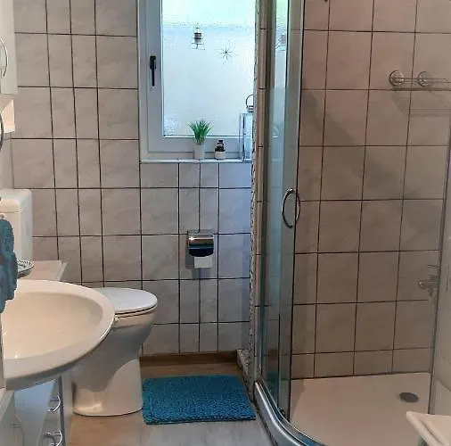 Haus Harzer Bergblick Inklusiv Sauna Whirlpool Lejlighed