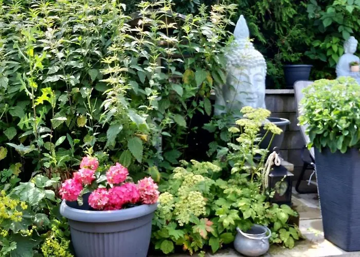 Haus Harzer Bergblick Inklusiv Sauna Whirlpool * Bad Lauterberg