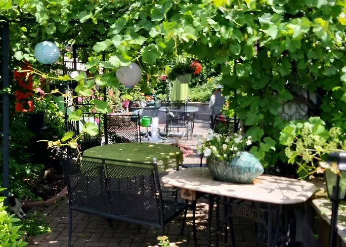 Haus Harzer Bergblick Inklusiv Sauna Whirlpool