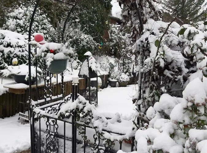 Lejlighed Haus Harzer Bergblick Inklusiv Sauna Whirlpool