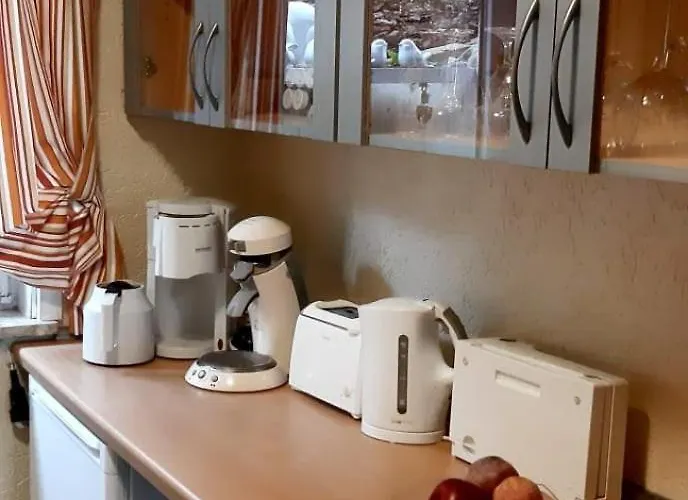 Haus Harzer Bergblick Inklusiv Sauna Whirlpool *