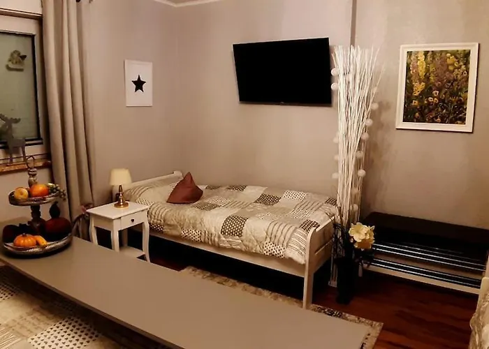 Lejlighed Haus Harzer Bergblick Inklusiv Sauna Whirlpool *