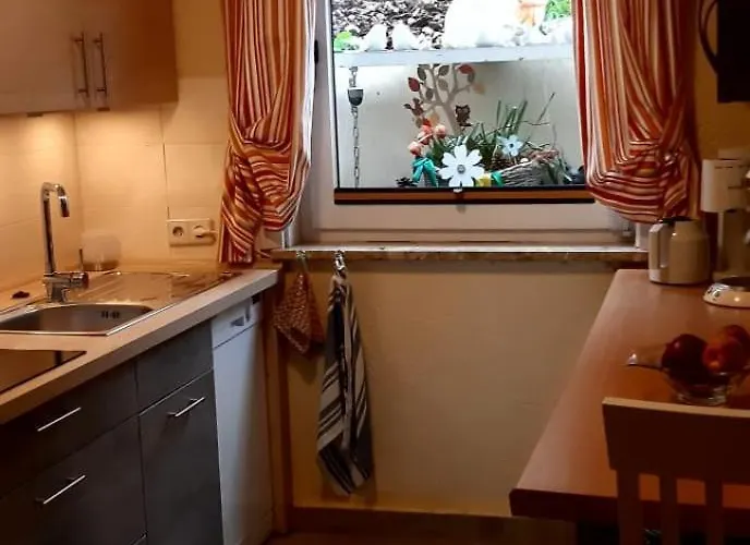 Haus Harzer Bergblick Inklusiv Sauna Whirlpool *